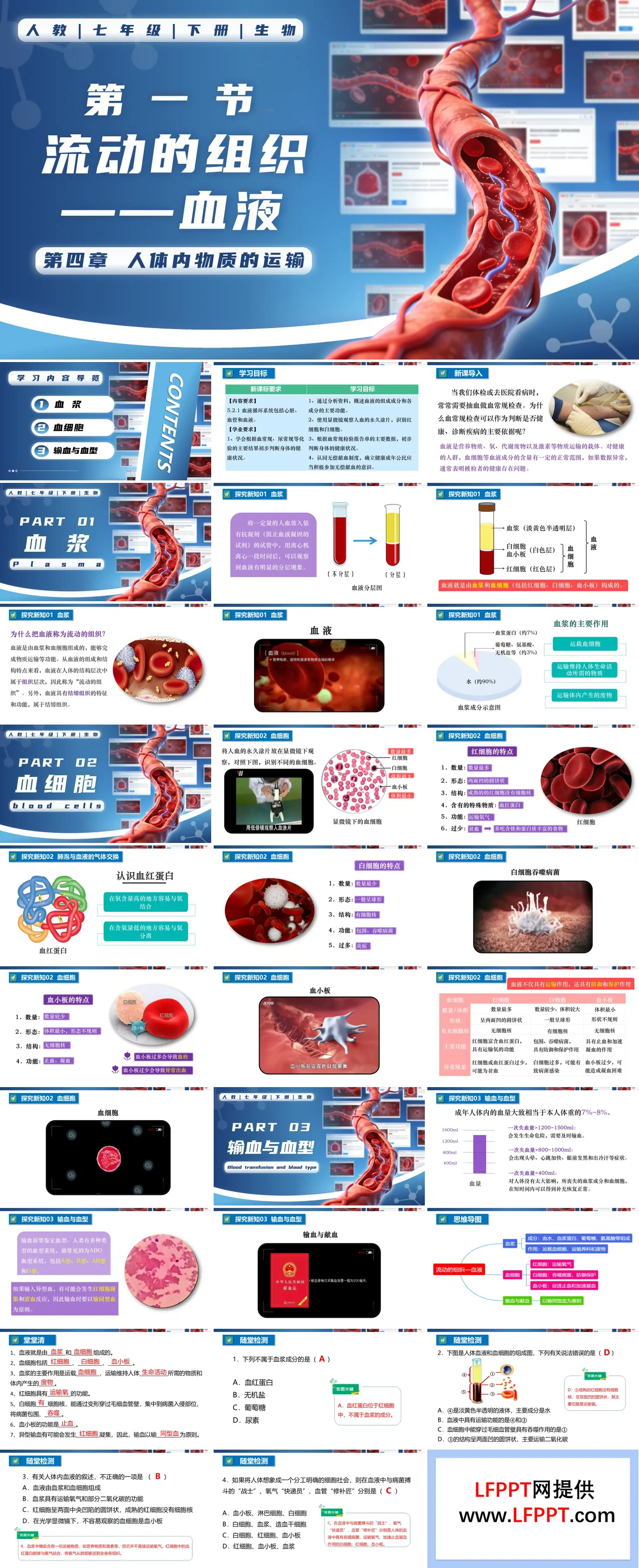 4.4.1 流動(dòng)的組織——血液七年級(jí)生物下冊(cè)第四單元PPT課件（教案+導(dǎo)學(xué)案+分層作業(yè)）