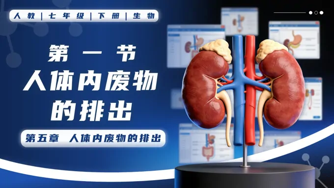 4.5 人體內廢物的排出七年級生物下冊第四單元PPT課件（教案+導學案+分層作業(yè)）