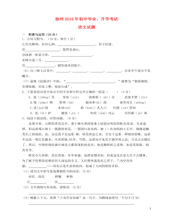 江苏省徐州市2015年中考语文真题试题(无答案)
