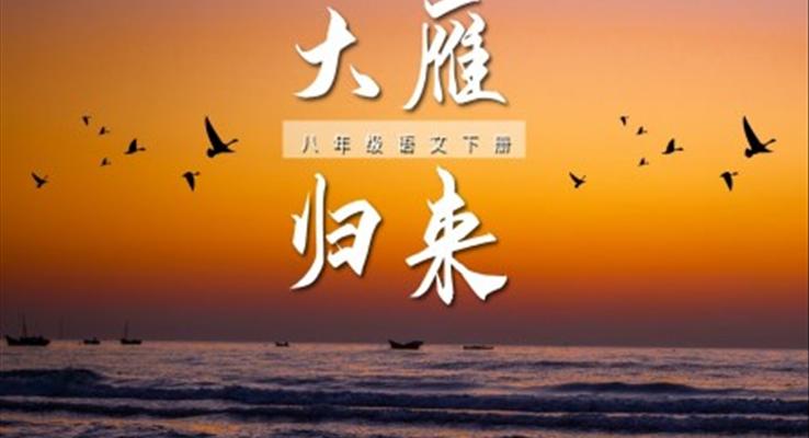 大雁归来PPT课件