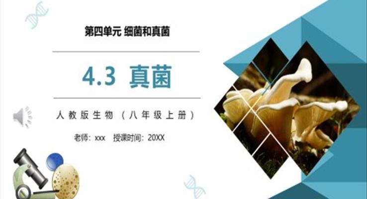 真菌课件PPT模板部编版八年级生物上册