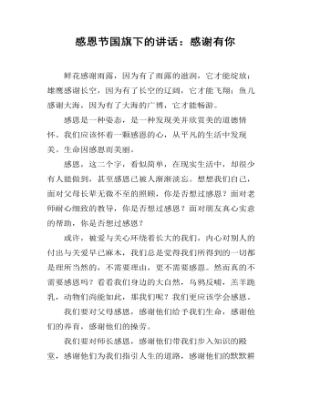 感恩节国旗下的讲话:感谢有你