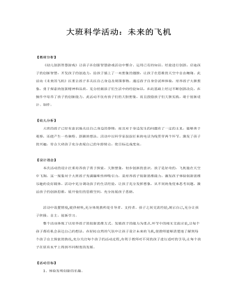 大班科学教案:未来的飞机