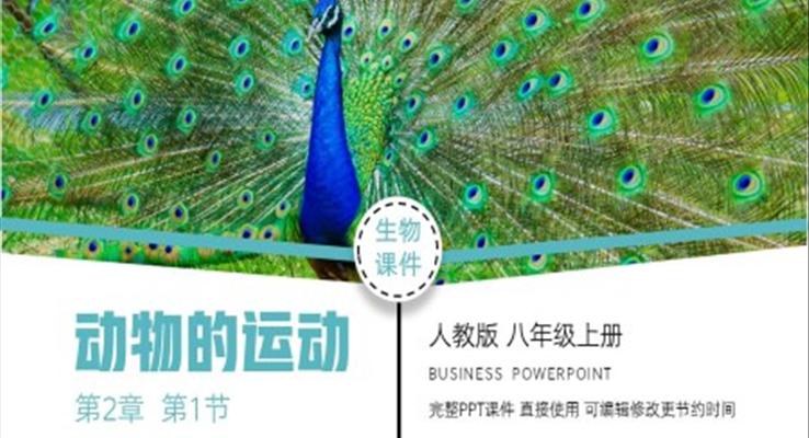 生物八年级上册动物的运动PPT课件