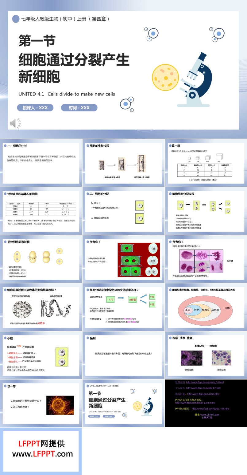 部编版七年级生物上册细胞通过分裂产生新细胞课件PPT