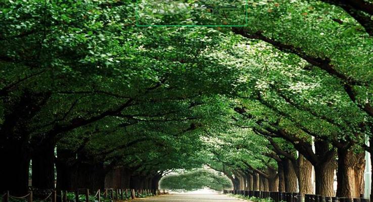 绿色大自然环保PPT