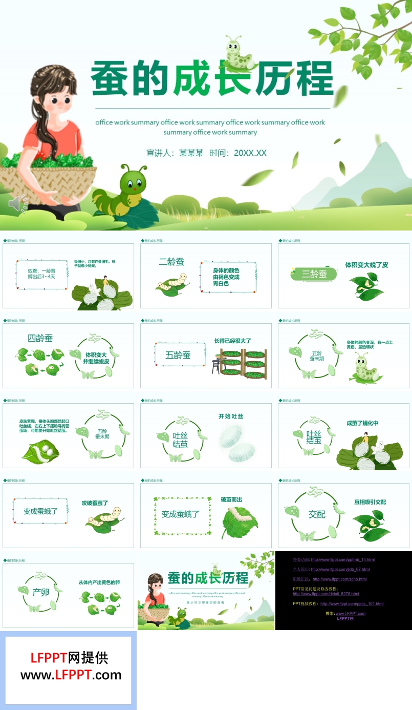 蚕的成长历程介绍PPT