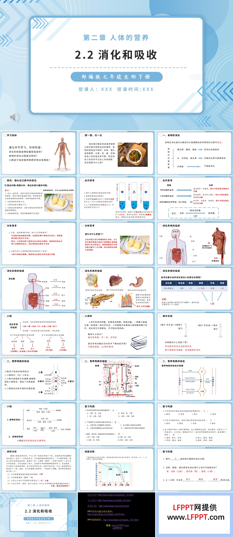 部編版七年級生物下冊消化和吸收課件PPT