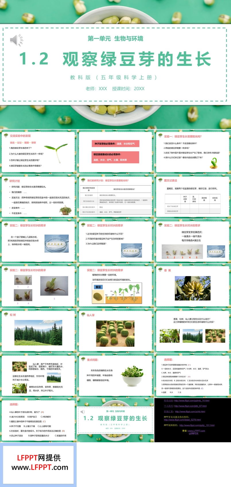 教科版五年级科学上册观察绿豆芽的生长PPT模板