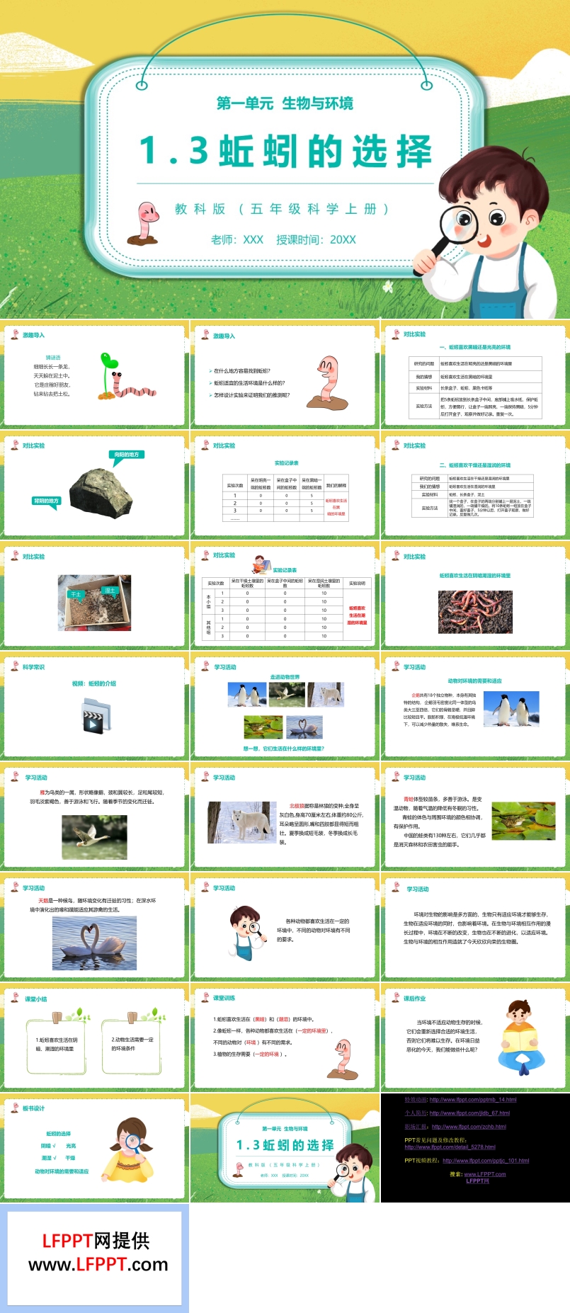 教科版五年级科学上册蚯蚓的选择PPT课件模板