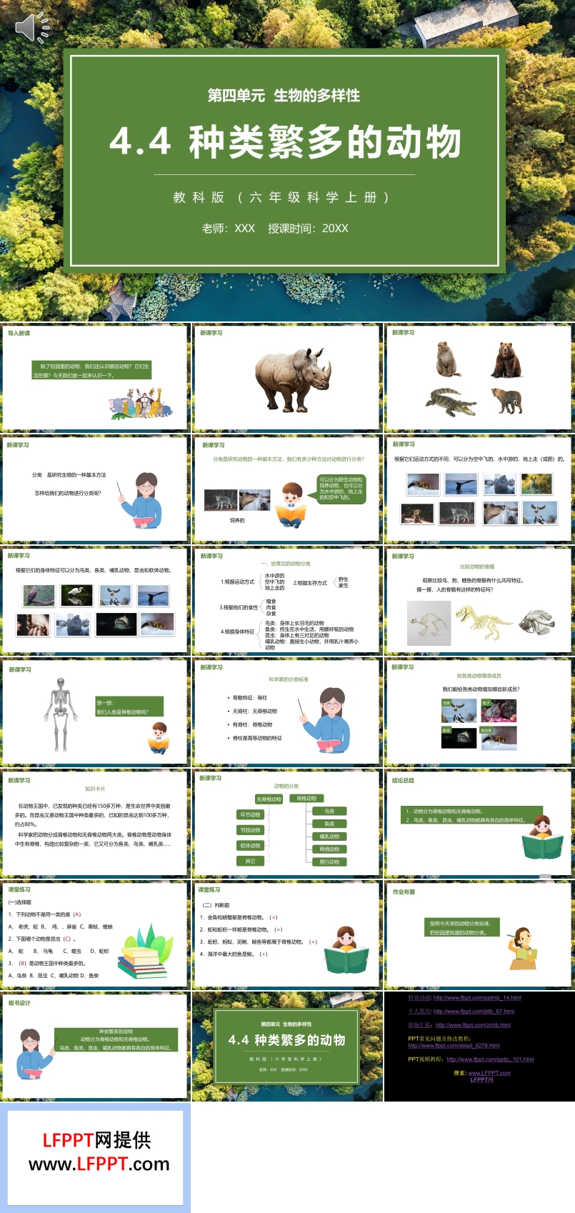 种类繁多的动物PPT课件教科版六年级科学上册模板