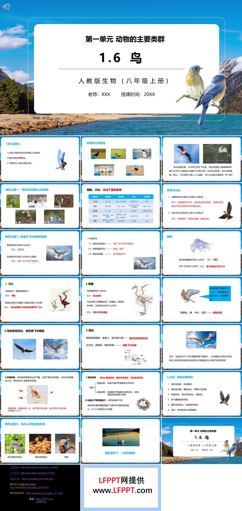 鸟PPT课件模板部编版八年级生物上册