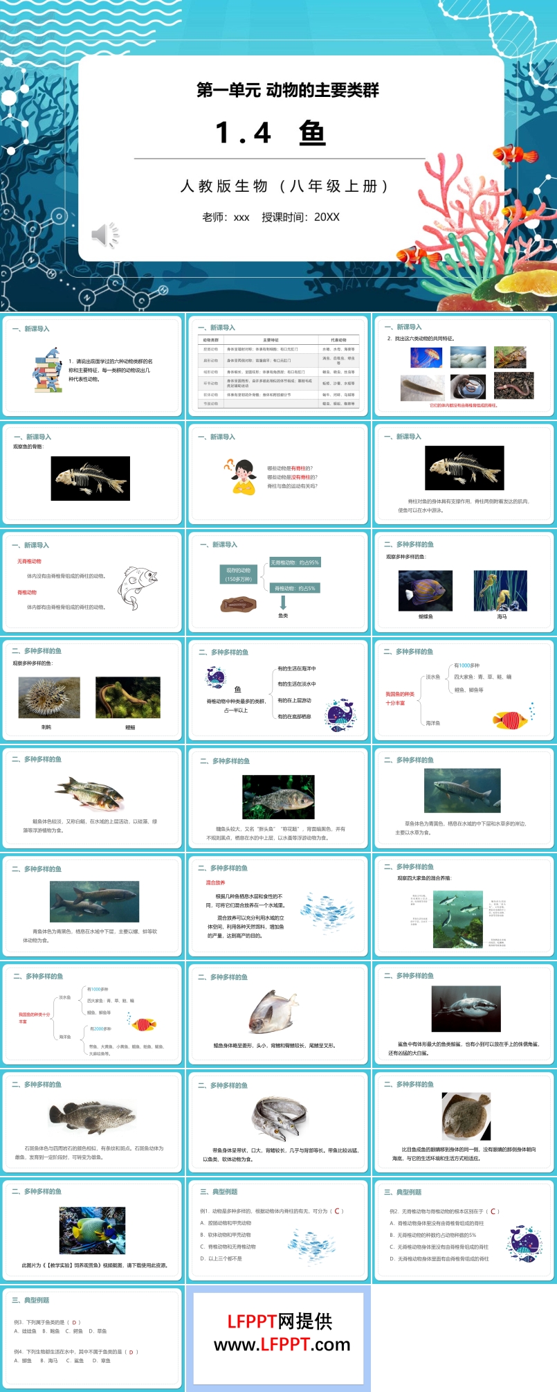 鱼PPT课件模板部编版八年级生物上册
