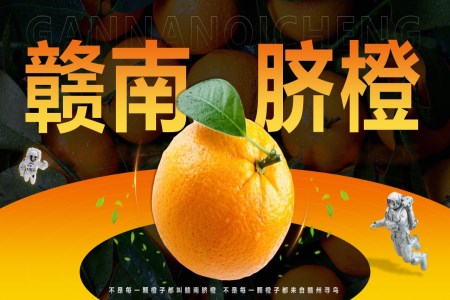 赣南脐橙宣传方案PPT动态模板
