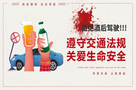 珍愛(ài)生命拒絕酒駕酒駕警示教育PPT