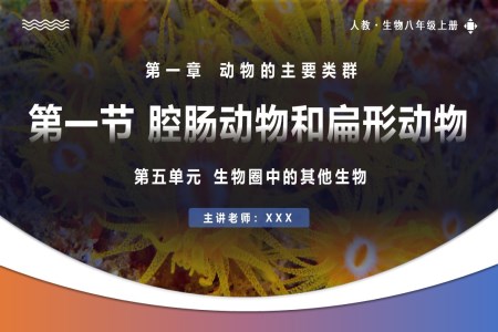 5.1.1腔腸動物和扁形動物人教八年級生物上冊PPT課件含教案