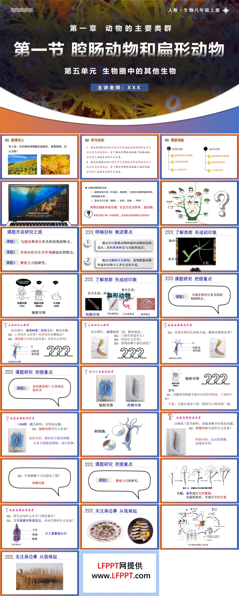 5.1.1腔腸動(dòng)物和扁形動(dòng)物人教八年級(jí)生物上冊(cè)PPT課件含教案