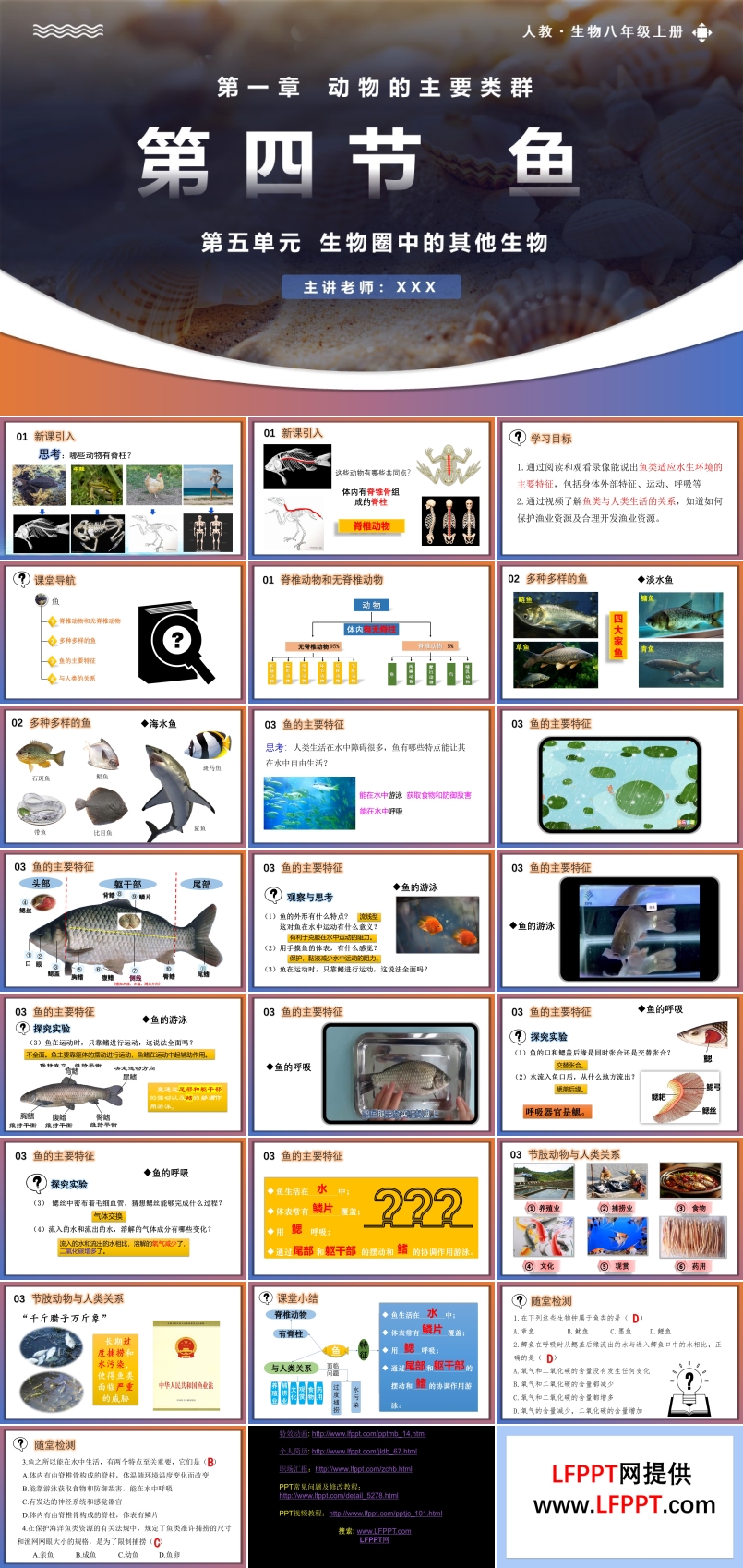 5.1.4魚人教八年級生物上冊PPT課件含教案