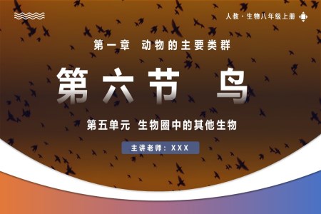 5.1.6鳥(niǎo)人教八年級(jí)生物上冊(cè)PPT課件含教案