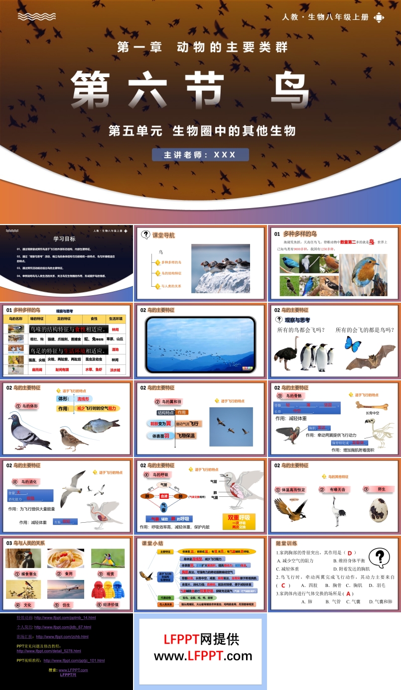5.1.6鳥(niǎo)人教八年級(jí)生物上冊(cè)PPT課件含教案