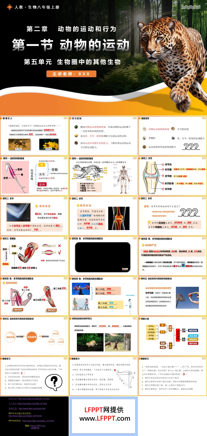 5.2.1動(dòng)物的運(yùn)動(dòng)人教八年級(jí)生物上冊(cè)PPT課件含教案