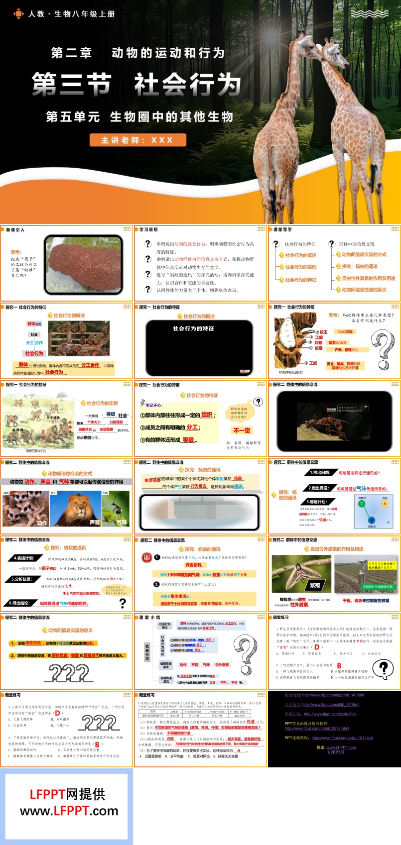 5.2.3社會行為人教八年級生物上冊PPT課件含教案