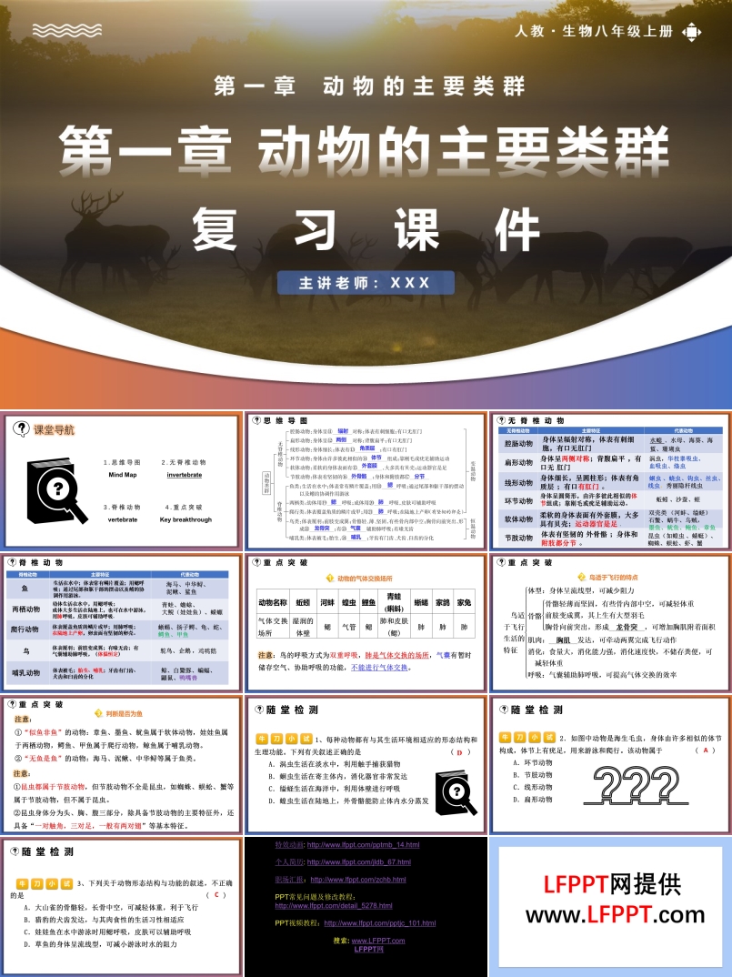 第五單元第一章動物的主要類群復(fù)習(xí)課件人教八年級生物上冊PPT課件含教案