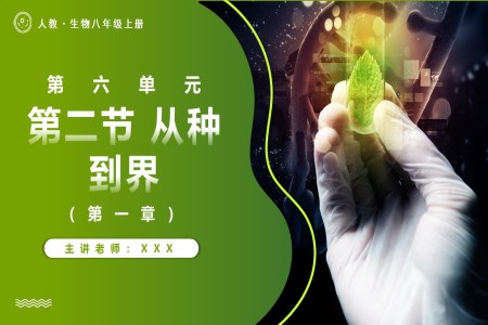 6.1.2從種到界人教八年級(jí)生物上冊(cè)PPT課件含教案