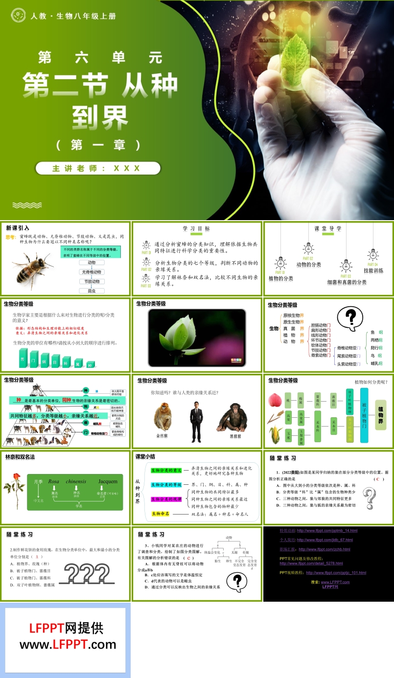 6.1.2從種到界人教八年級生物上冊PPT課件含教案