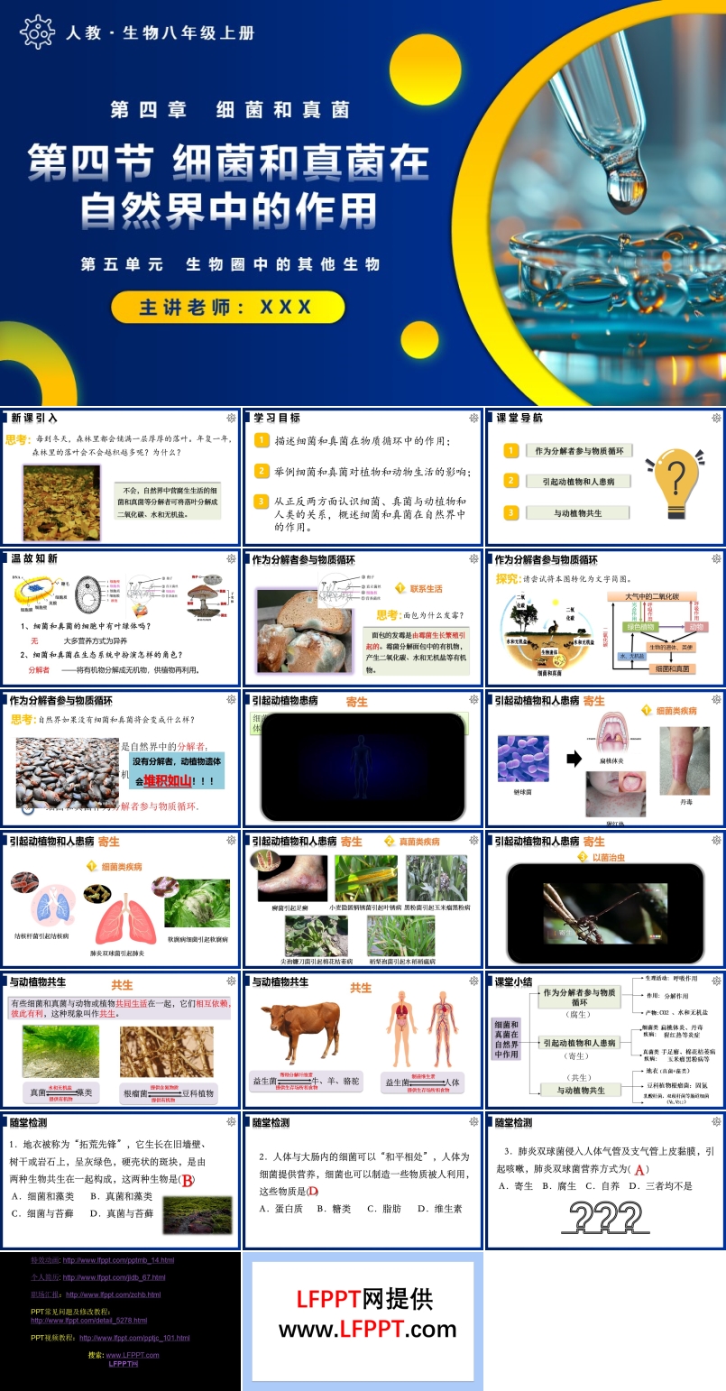 5.4.4細菌和真菌在自然界中的作用人教八年級生物上冊PPT課件含教案