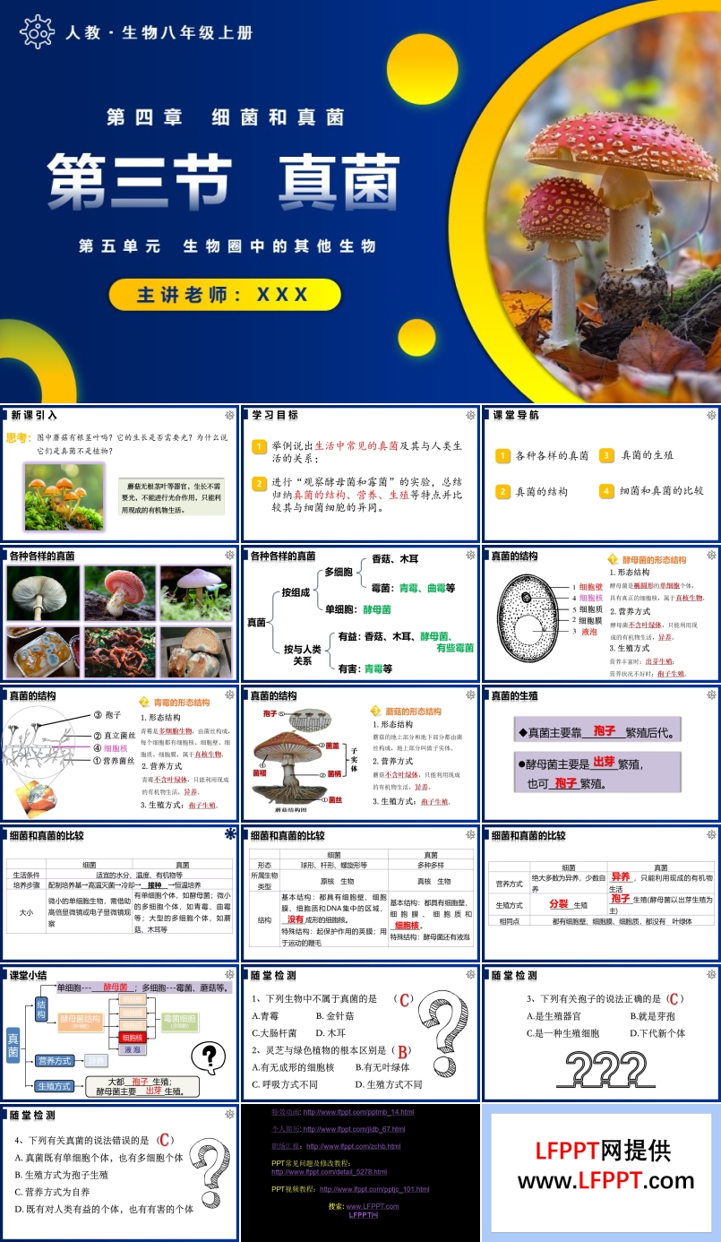 5.4.3真菌人教八年級(jí)生物上冊(cè)PPT課件含教案