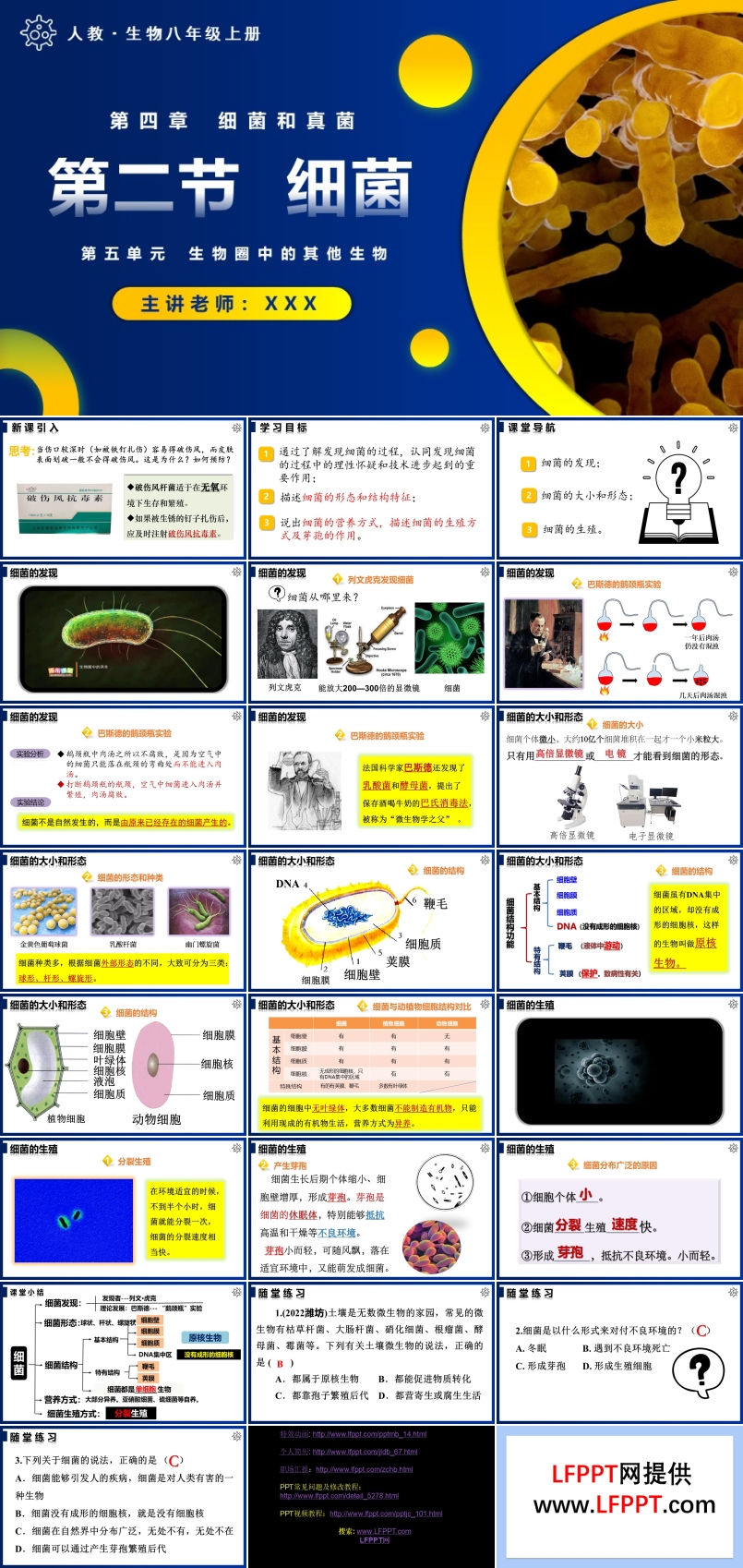 5.4.2細菌人教八年級生物上冊PPT課件含教案