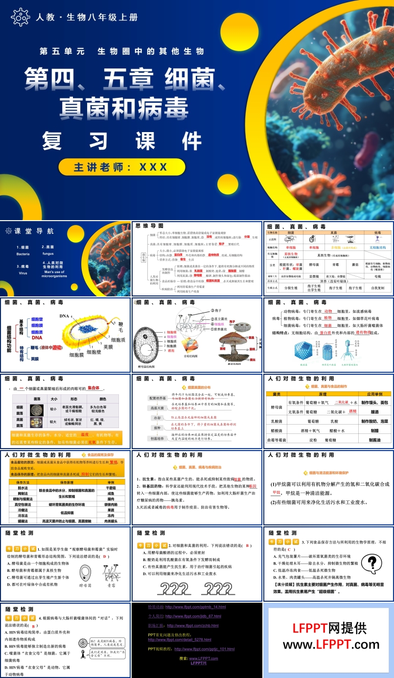 第五單元第四、五章細菌、真菌和病毒復習課件人教八年級生物上冊PPT課件含教案