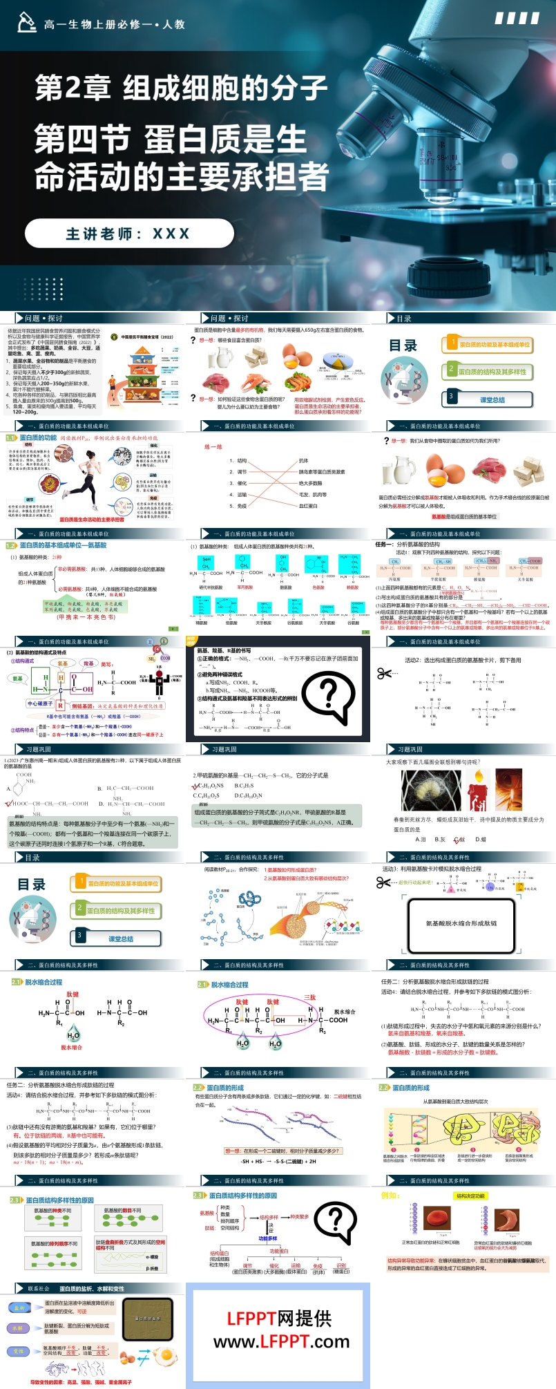 2.4蛋白質(zhì)是生命活動的主要承擔(dān)者高一人教生物上冊必修一PPT課件含教案