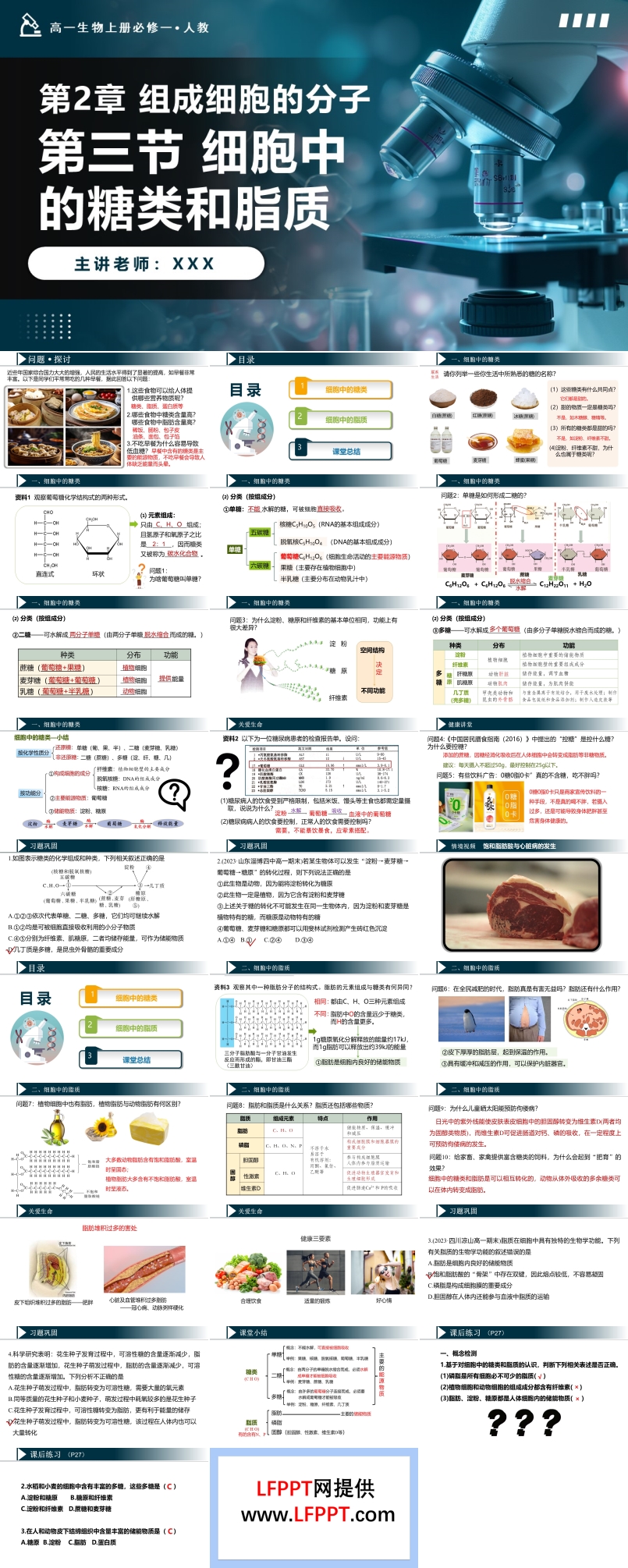 2.3細(xì)胞中的糖類和脂質(zhì)高一人教生物上冊(cè)必修一PPT課件含教案