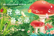 《昆蟲(chóng)備忘錄》部編小學(xué)語(yǔ)文三年級(jí)下冊(cè)PPT課件含教案