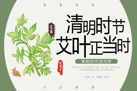 清明艾草理療養(yǎng)生PPT含講稿