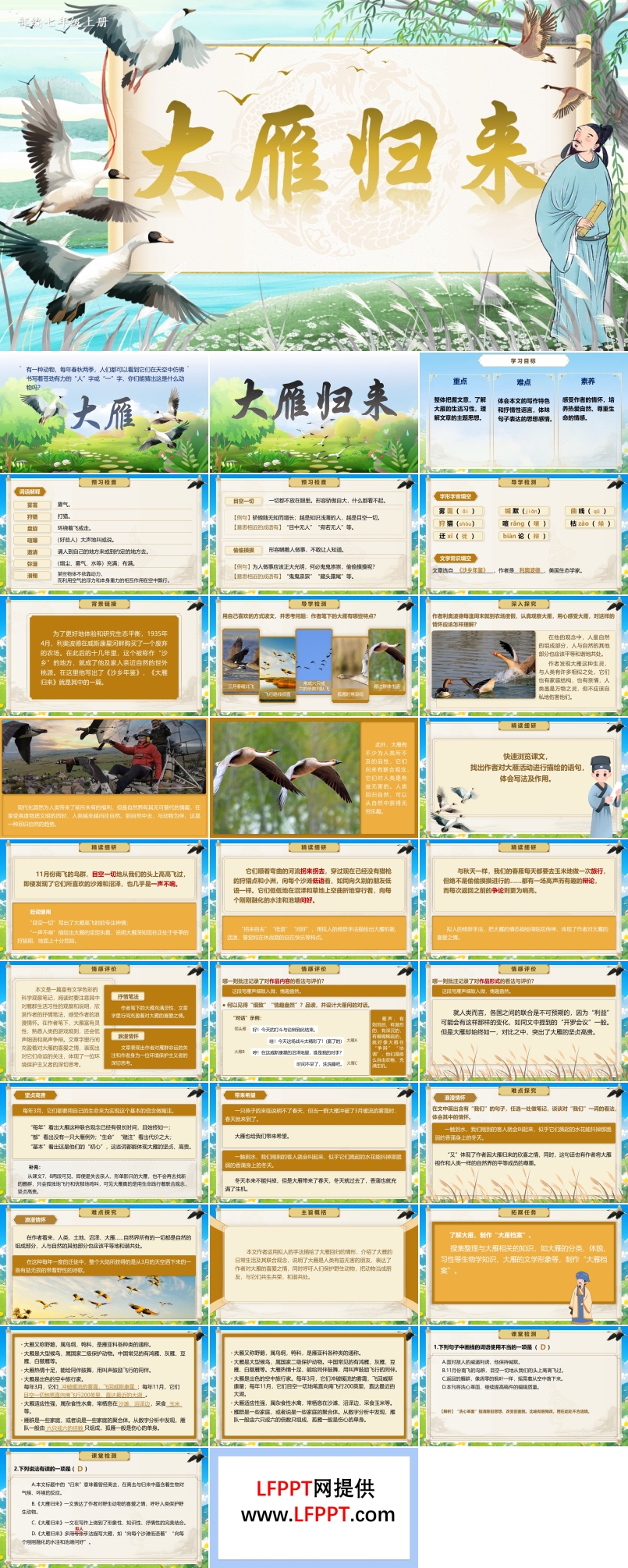 《大雁歸來》部編語文七年級上冊19課PPT課件含教案