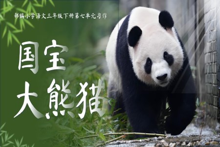 【習(xí)作】《國寶大熊貓》部編小學(xué)語文三年級下冊第七單元PPT課件含教案