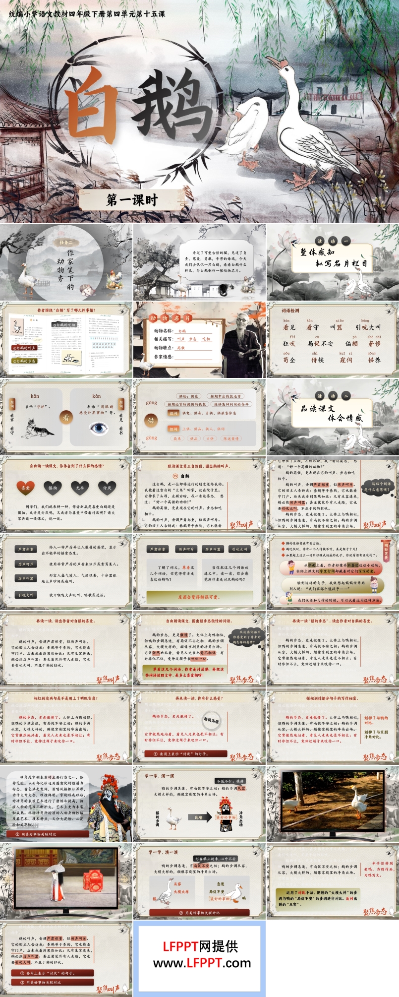 《白鵝》部編小學(xué)語文四年級下冊PPT課件含教案