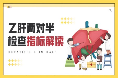 體檢乙肝兩對(duì)半檢查指標(biāo)解讀PPT含講稿