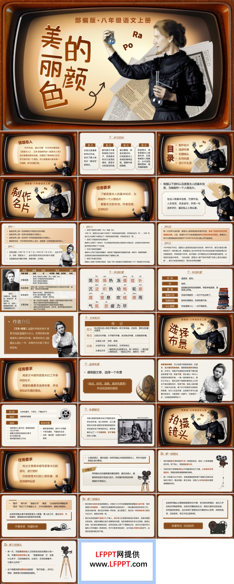 《美丽的颜色》八年级语文上册PPT课件含教案