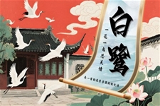 《白鷺》五年級語文上冊PPT課件含教案