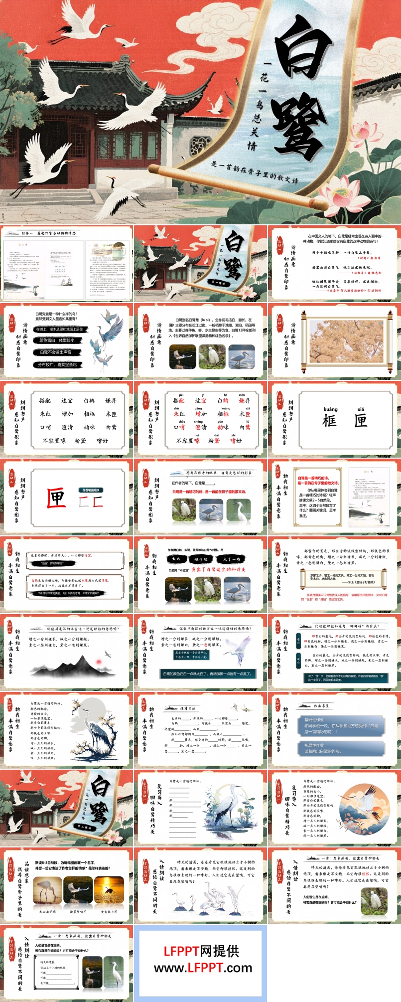 《白鷺》五年級語文上冊PPT課件含教案