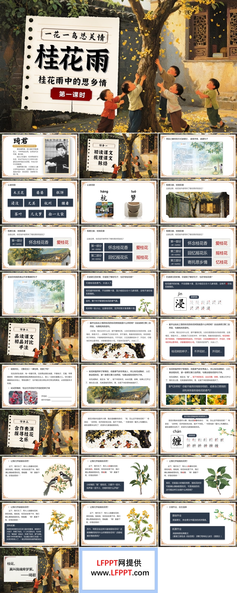 《桂花雨》五年级语文上册PPT课件含教案
