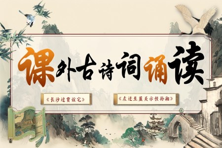 课外古诗词诵读《长沙过贾谊宅》《左迁至蓝关示侄孙湘》部编语文九年级上册第三单元PPT课件含教案
