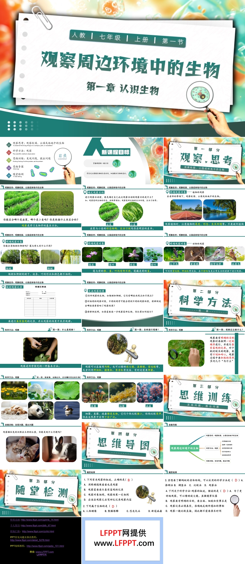 观察周边环境中的生物人教七年级生物上册PPT课件含教案
