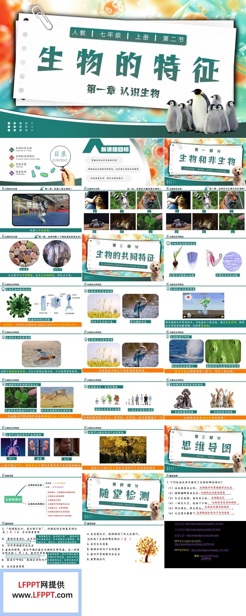 生物的特征人教七年级生物上册PPT课件含教案