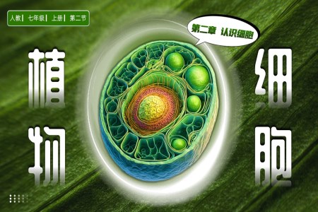 植物細(xì)胞人教七年級生物上冊PPT課件含教案