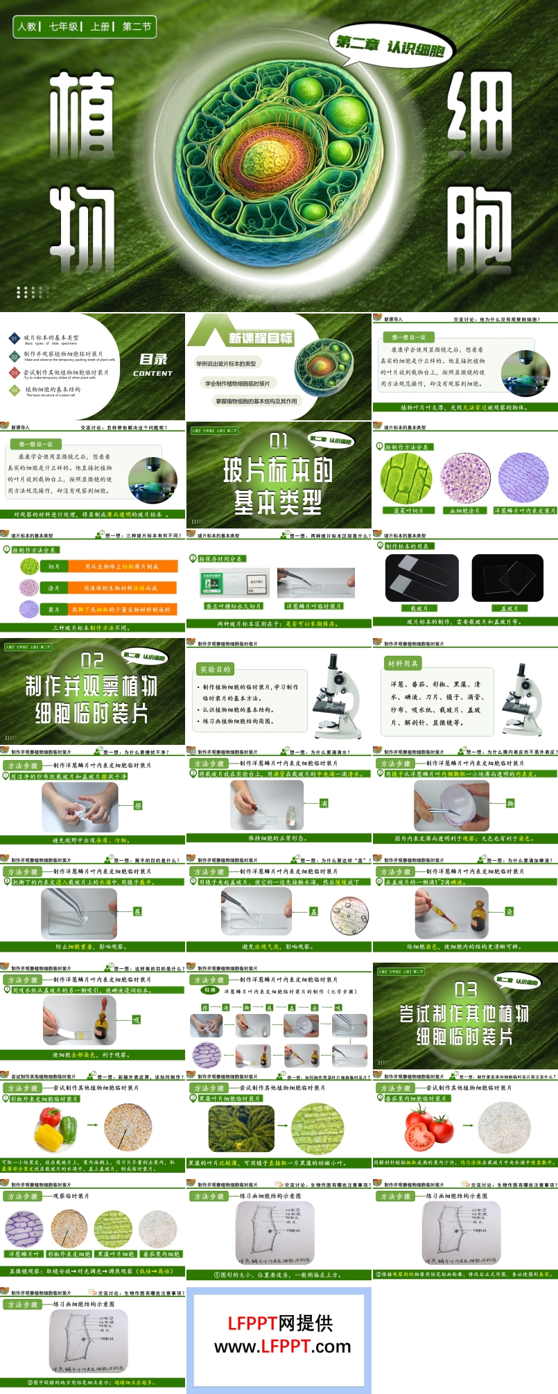 植物细胞人教七年级生物上册PPT课件含教案